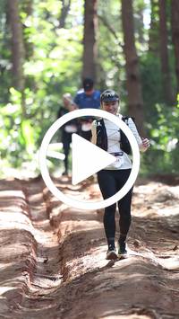 BIB:  <button type="button" onclick="openModal(26569456)" class="btn btn-primary btn-sm float-right" data-toggle="modal" data-target=".modal-high-quality">
                <i class="fa fa-download"></i> Download
                </button>